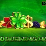Burning Hot Slot Review 2026 Free Play Demo