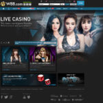 Cazinouri Online Verificate & Bonusuri Exclusive
