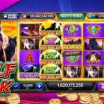 Winorio Gokhuis Review 2026 Zelfs 1 777 plus 100 fre spins