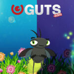 Aviator Online game 1xBet  Play & Victory Big having Aviator Predictor!