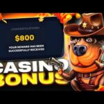 Dragobet Casino Support Options