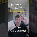 O'zbekistonda Wowbet kazinosiga pul tikish.