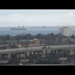 Choosing a Flower Shop: A Guide to Options and Services