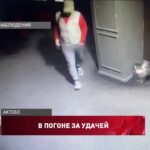 Играть в Лото Онлайн Выигрыши и Розыгрыши Лото Клуб