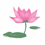 Официальный веб-сайт Лото Клуб в Казахстане называется Loto Club KZ.