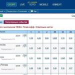 Wowbet – Qozog'istondagi eng yaxshi onlayn kazino bo'lib, rasmiy veb-saytda taqdim etilgan.