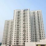 CrownGreen Local casino VIP Rewards: Over Exploration ASLAN NEFERLER TİM