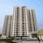 Enjoy Harbors & Real time Video game with exclusive Benefits