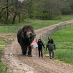 Melbet признан лучшим оператором онлайн-гейминга на последней премии EVENTUS Award