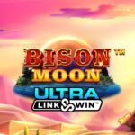 $one thousand Dollars Bonus, 50 100 percent free Spins Added bonus