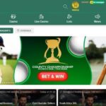 Indian Games on the net WinGo Lottery 41 Extra