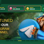 Real time & On the web Gambling
