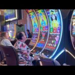 a knowledgeable On-line casino on the Netherlands