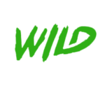 Wildsino Gambling enterprise Remark: Fast Withdrawals, Big Incentives, 11K+ Game